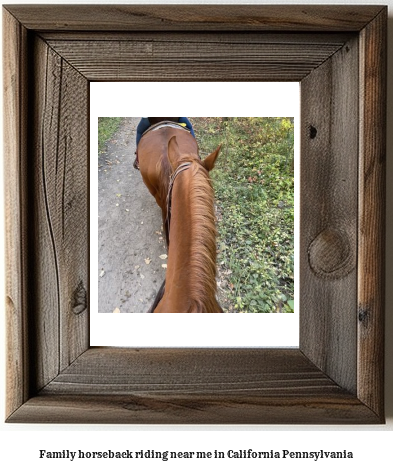 family horseback riding near me in California, Pennsylvania